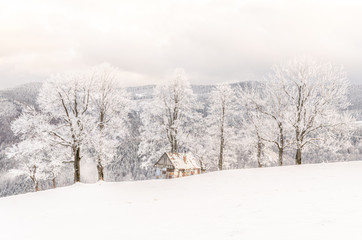 Small shepherd house on the winter time