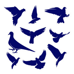 Set of Dove logo design concept vector. Bird logo template. Icon symbol. Illustration