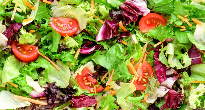 Mixed Fresh Salad Leaves Background.