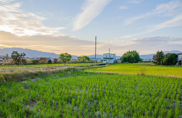 田舎風景　滋賀県