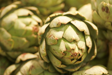 artichaud