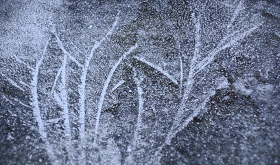 Gefrieren von Wasser  eisblumen