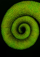 abstract green background