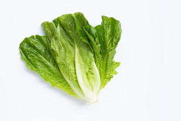 Fresh romaine lettuce on white.
