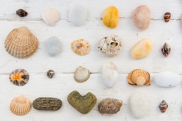 Seashells and pebbles on white wooden table. Vacation concept. Vacation flat lay 