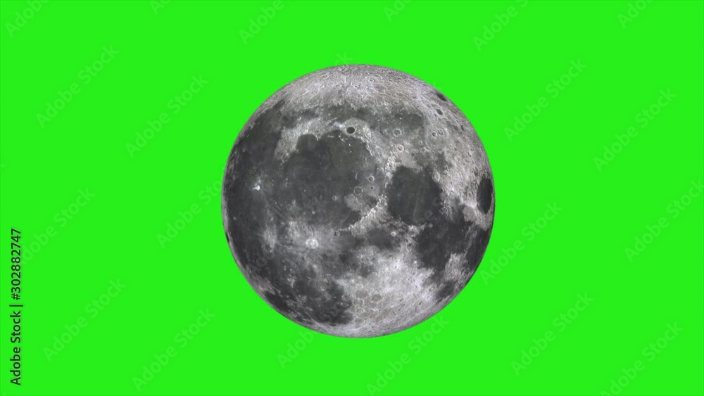 Wall mural moon on green screen. moon rotates around its axis and approaching. texture of the moon on a green b