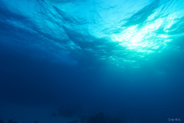 blue ocean surface seen from underwater