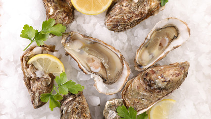 oyster, ice cube and lemon