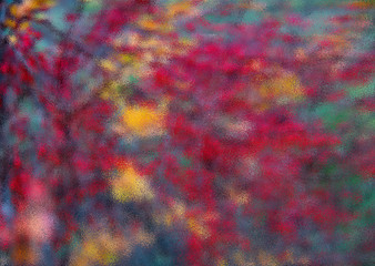 Photo specially blurred in the program.Branches of barberry. Abstract background.