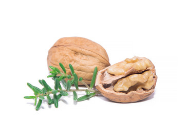 Walnut closed and another open isolated on white