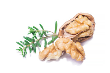 delicious nuts isolated on white