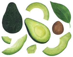  Set avocado watercolor vegetarianism ingredients cooking food illustration