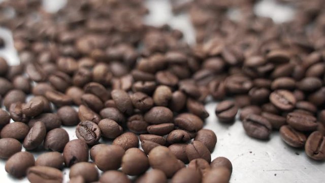 Hand picking bad roasted coffee beans from roasting process