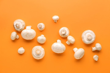 Fresh mushrooms on color background