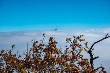 Swallowed by the clouds
