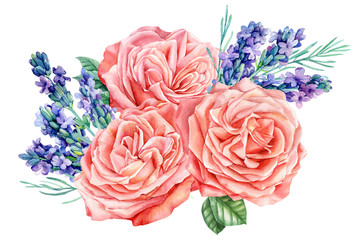 watercolor lavender and roses illustration on isolated white background