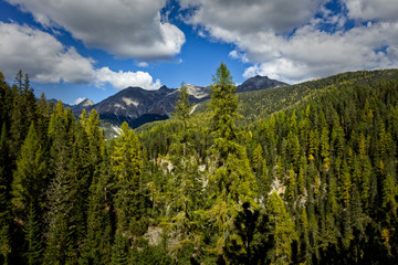 Mountains with forest in the Swiss National Park