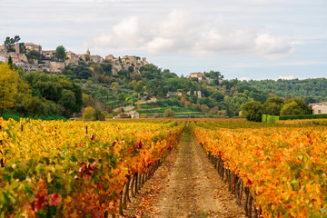 Vue panoramique sur le village Menerbes, en automne, Provence, France. Au premier plan les vignobles, colorés en jaune, rouge, orange. 