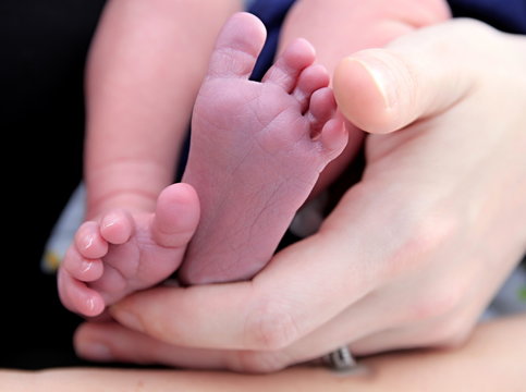 mother holding baby feet at home stock photo
