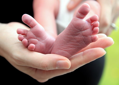 mother holding baby feet at home stock photo