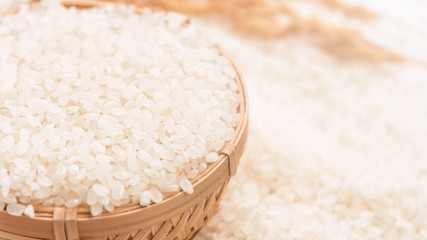 Raw white polished milled edible rice crop on white background in brown bowl, organic agriculture design concept. Staple food of Asia, close up.