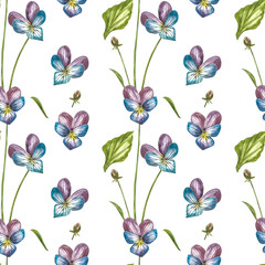 Pansy or daisy flower.Watercolor botanical illustration. Good for cosmetics, medicine, treating, aromatherapy, nursing, package design, field bouquet. Seamless patterns.