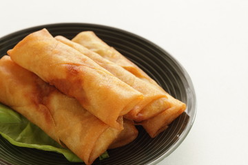 chinese food, deep fried dumpling Spring roll