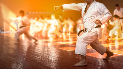 Martial art. Colored background with elements of movement and blur on the topic karate kids training. Without faces. For web design and printing.