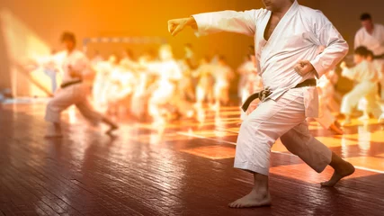 Foto op Canvas Martial art. Colored background with elements of movement and blur on the topic karate kids training. Without faces. For web design and printing. © Uladzimir