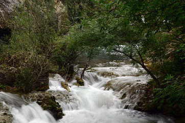 Obraz premium Water flow of the Canyon. Forest and mountain landscapes. Crimea,Russia