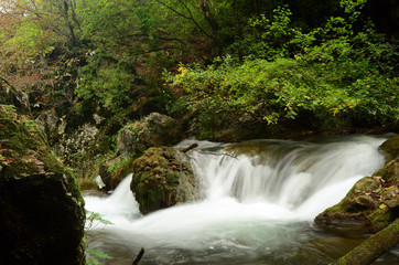 Water flow of the Canyon. Forest and mountain landscapes. Crimea,Russia