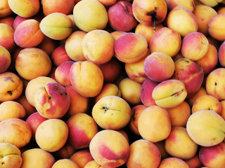 fresh apricots fruit texture