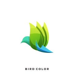 Modern Bird Colorful Illustration Vector Template