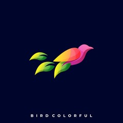 Modern Bird Colorful Illustration Vector Template