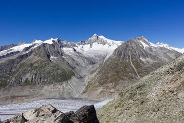 Swiss Aletsch Glacier in summer