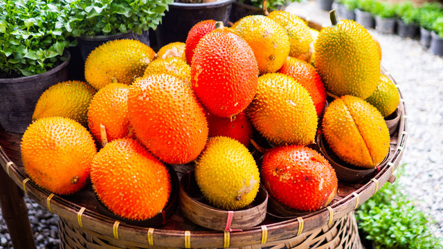 Momordica  cochinchinensis (Lour.)  Spreng, Many orange fruits placed in a basket.