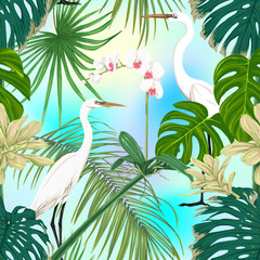 Seamless pattern, background. with tropical plants and flowers with white orchid and tropical birds on sky blue background. Colored vector illustration .