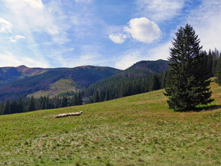 landscape in the mountains scenery travel