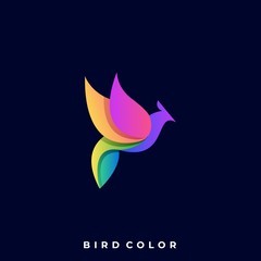 Modern Bird Colorful Illustration Vector Template