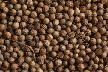 Grains of coriander evenly sprinkled, spices background. Concept, copy space, flat lay.