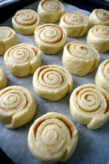 Obraz na płótnie Canvas Fresh cinnamon rolls, yeast dough, on a baking sheet, home cooking