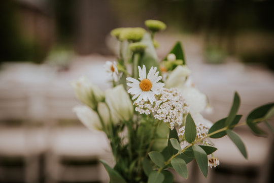 bukiet, dekoracja, dekoracja ślubna, kwiaty, rośliny