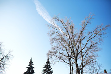 Winter landscape of country fields and roads