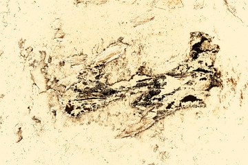 Vintage yellow background. Rough painted wall of aspen gold color. Imperfect plane of golden colored. Uneven old decorative toned backdrop of yellow tint. Texture of gold hue. Ornamental stony surface