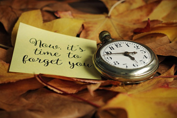 Now it's time to forget you, old clock on autumn leaves