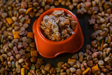 Wet pet food in a orange plastic bowl on black table