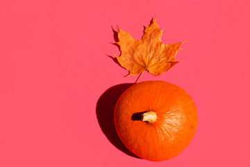 Bright orange pumpkin dry maple leaf on fuchsia pink background with hard shadows. Creative trendy pop art poster for Thanksgiving with copy space