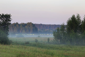 fog in the field at sunrise