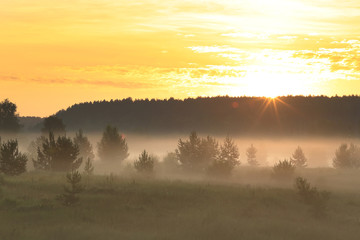 Obraz premium fog in the field at sunrise