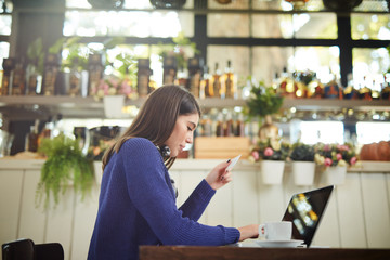 Beautiful elegant caucasian brunette in sweater sitting in cafe and using laptop for online shopping. In hand is credit card.